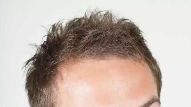 מערכות בידור לרכב מערכות בידור לרכב