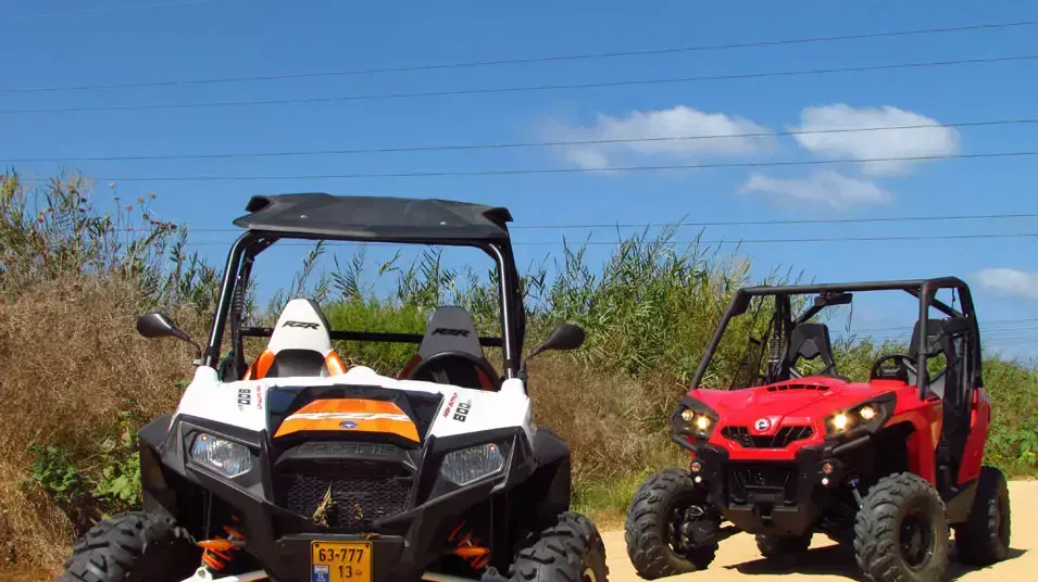 מבחן פולאריס RZR 800