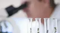 ביומד
