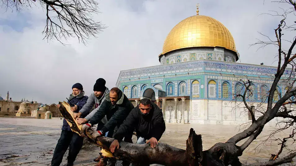 עץ שקרס בעקבות הסערה ליד כיפת הסלע בהר הבית בירושלים