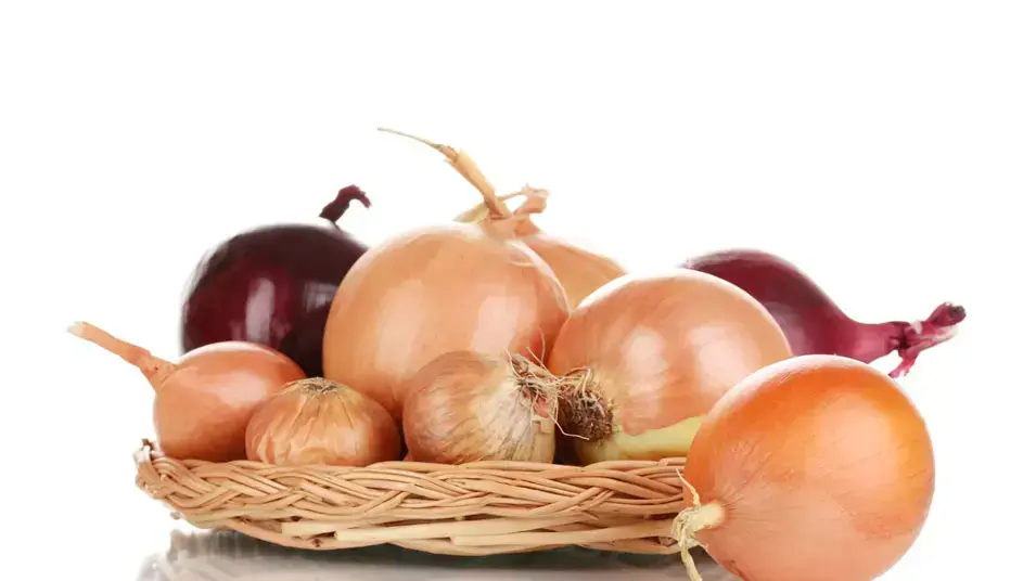 בצלים