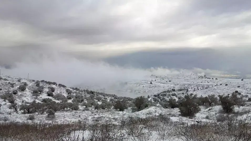 שלג ביישוב עלי, מטה בנימין. ינואר 2013 שלג ביישוב עלי, מטה בנימין. ינואר 2013