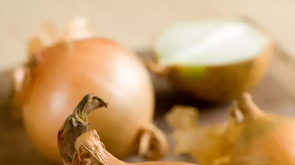 בצלים
