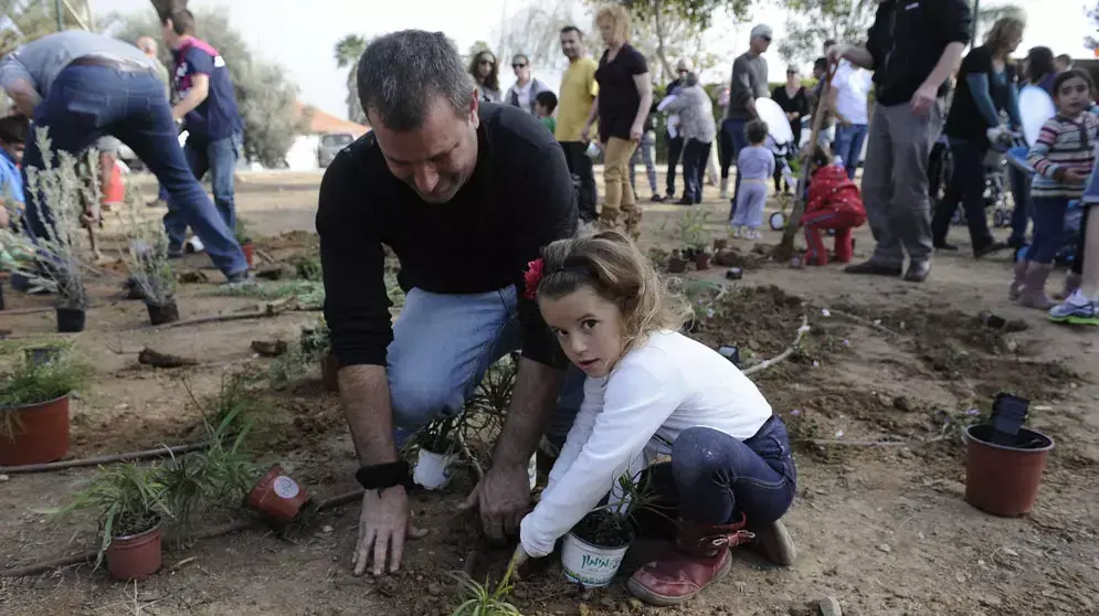 נטיעות לכבוד ט"ו בשבט תשע"ג, ינואר 2013