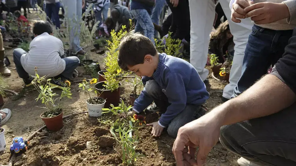 נטיעות לכבוד ט"ו בשבט תשע"ג, ינואר 2013