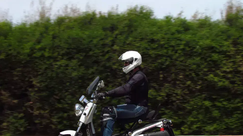 מבחן קטנוע דאלים B-BONE 125 סמ"ק