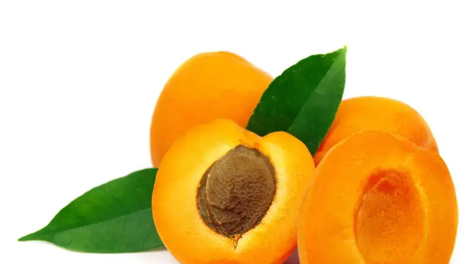 משמש