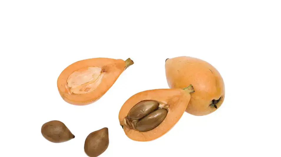 שסק