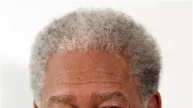 מורגן פרימן