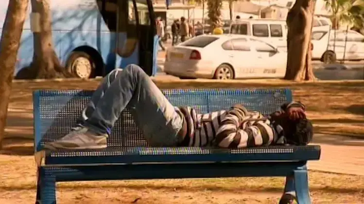 גוד מורנינג אימגריישן