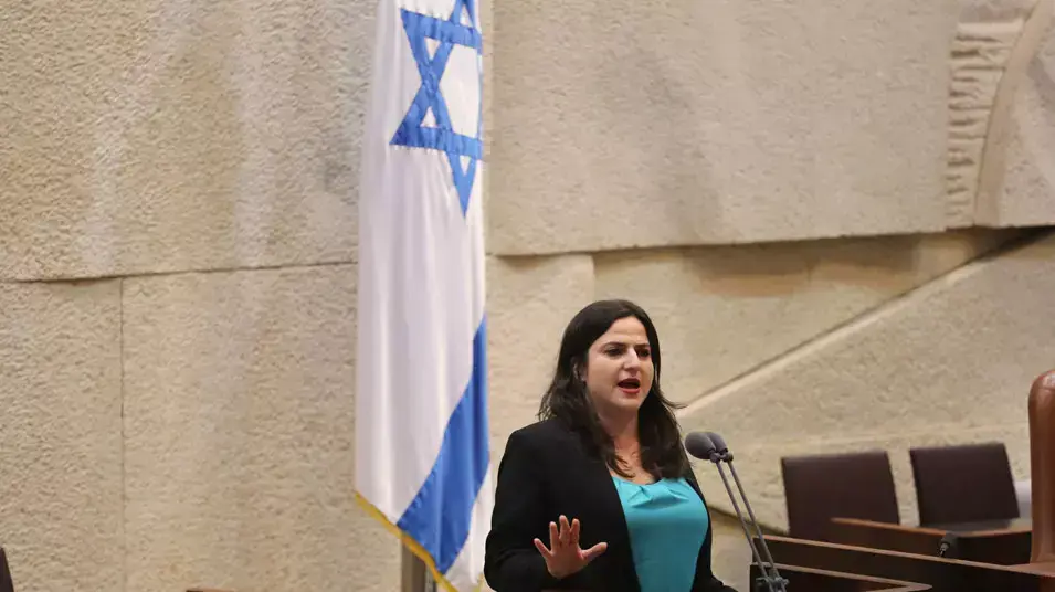 מיכל בירן במליאת הכנסת בזמן דיוני התקציב, 17 יוני 2013