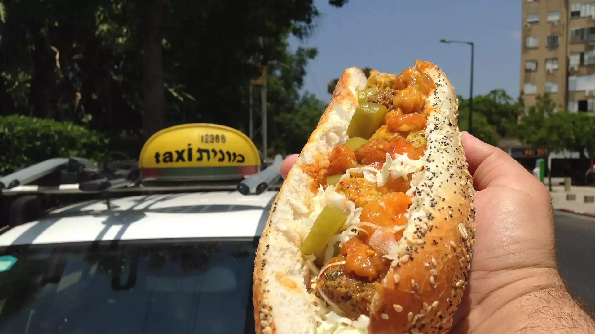 המקום של פאני המונה טועם