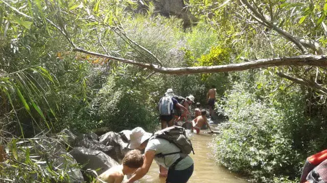 טיילים בנחל יהודיה