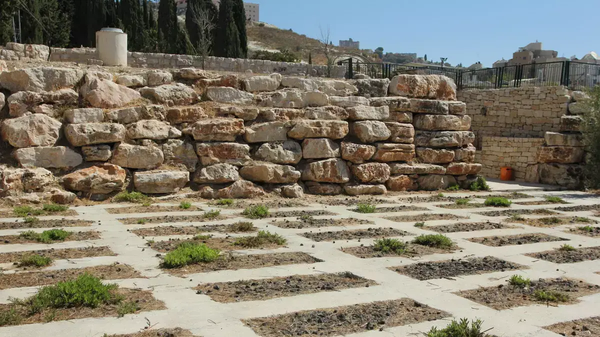 שומרים מאבטחים את קברן של הרב ברג בצםת
