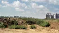 הגוש הגדול תל אביב