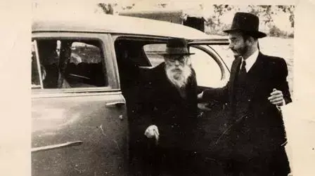 החזון איש