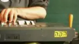 הפה והטלפיים