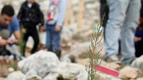 ילדים נוטעים עצים בט"ו בשבט