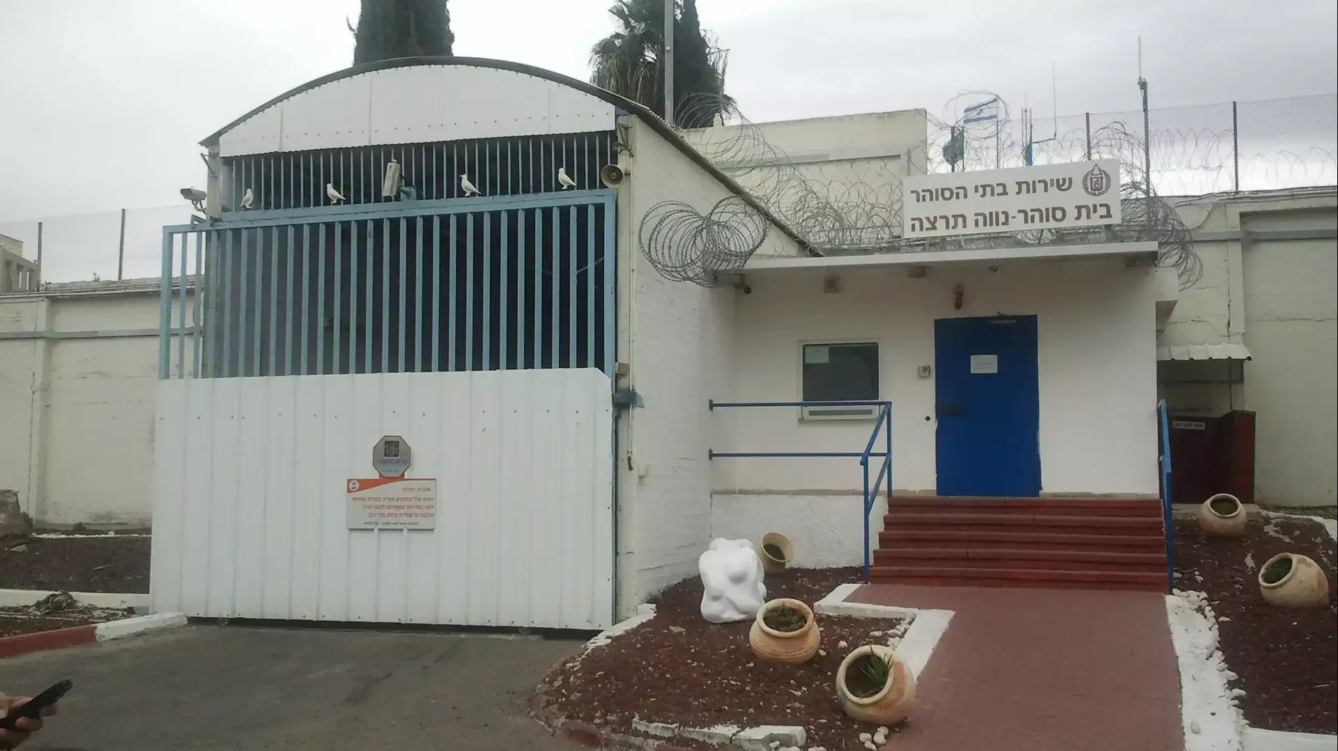 עמת קם משתחררת היום מכלא נווה תרצה, ינואר 2014