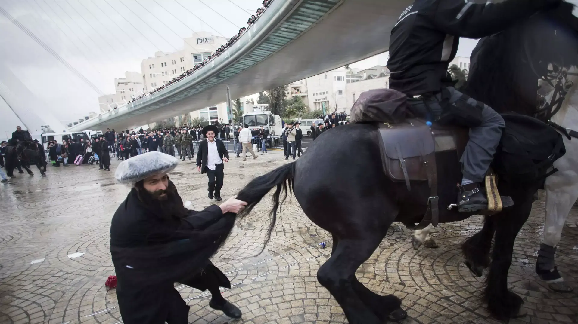 חרדי מושך בזנב של סוס משטרה, בהפגנה בירושלים נגד חוק הגיוס. פברואר 2014
