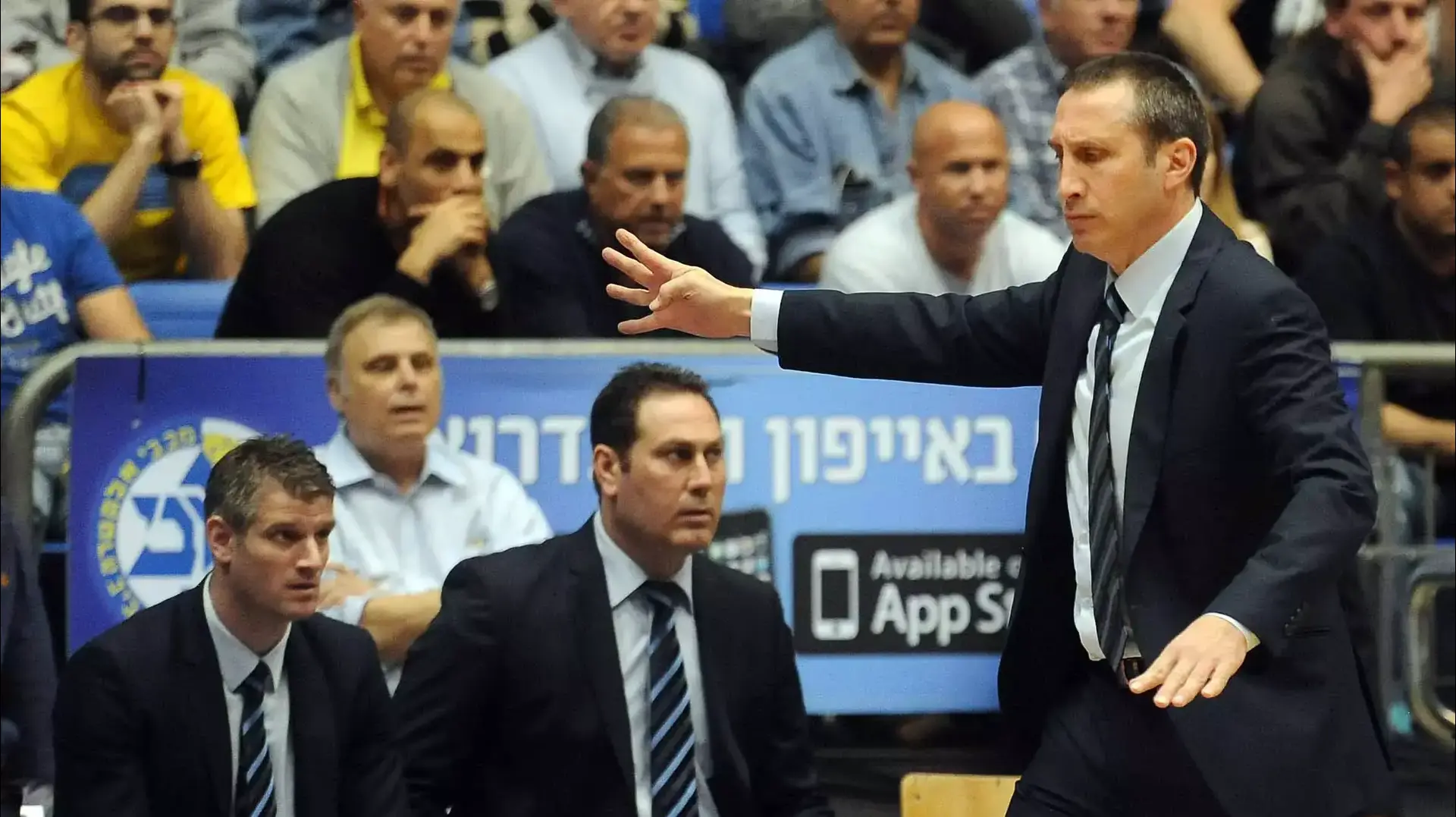 דיוויד בלאט, מאמן מכבי תל אביב