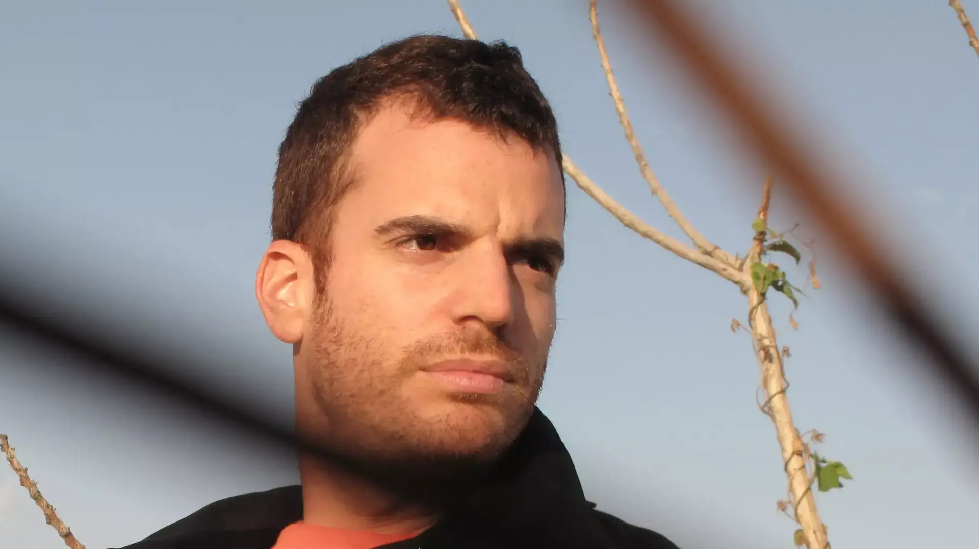 אבי גולדפינגר - מלטפת הודפת