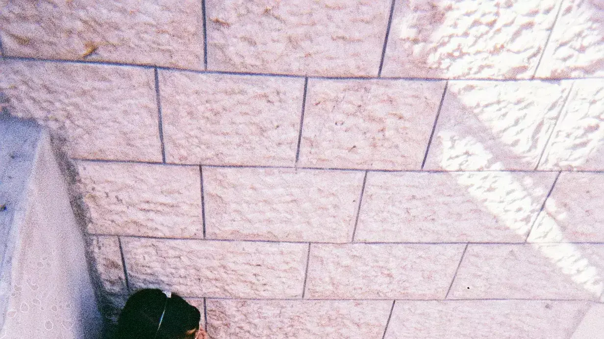 ילדי אומנה