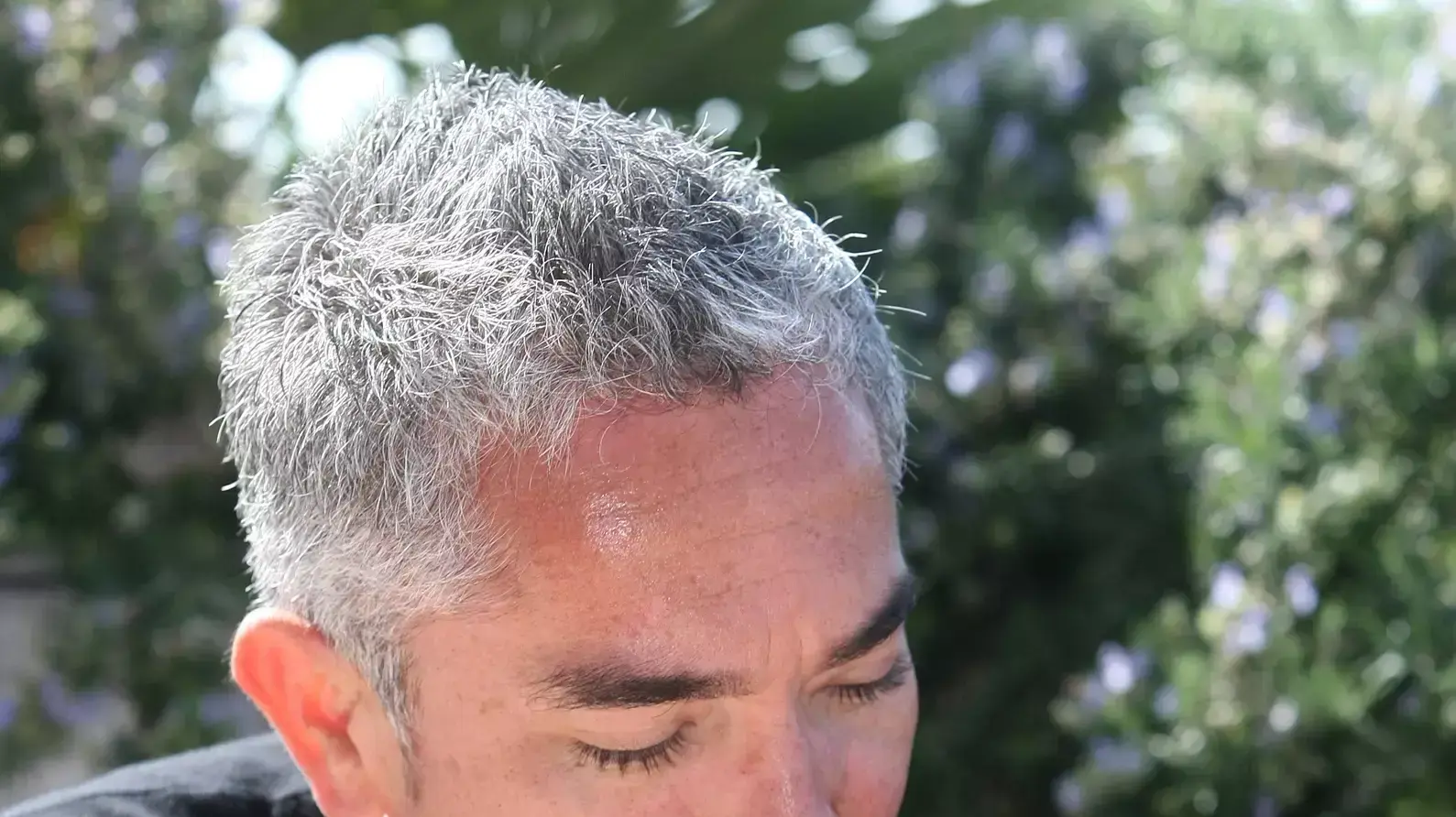 סיזר מילאן