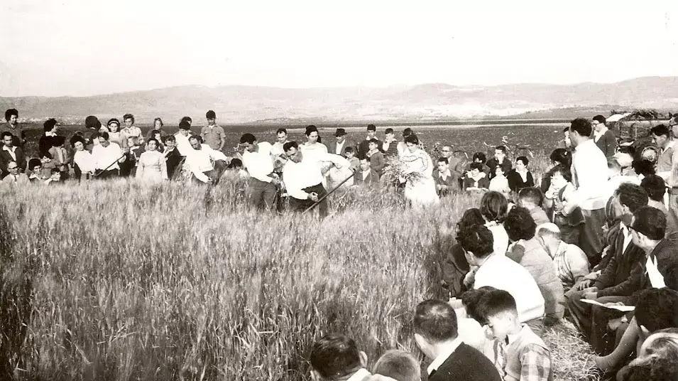 התיישבות חרדית ציונית