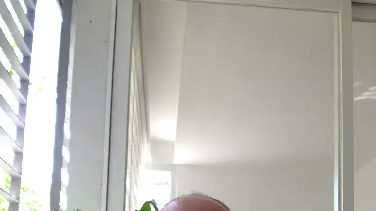 גל זייד