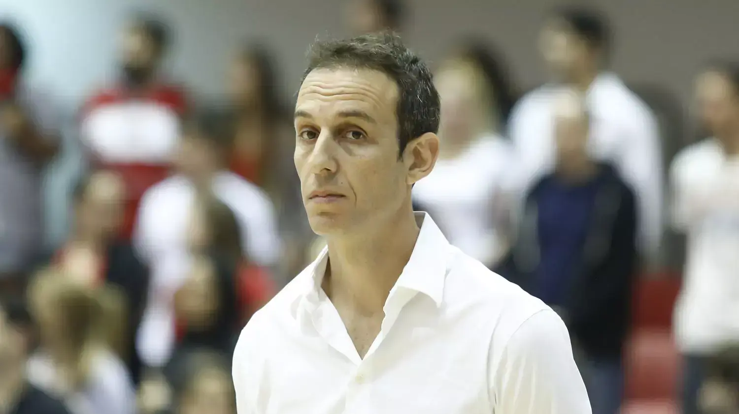 עודד קטש, מאמן הפועל אילת