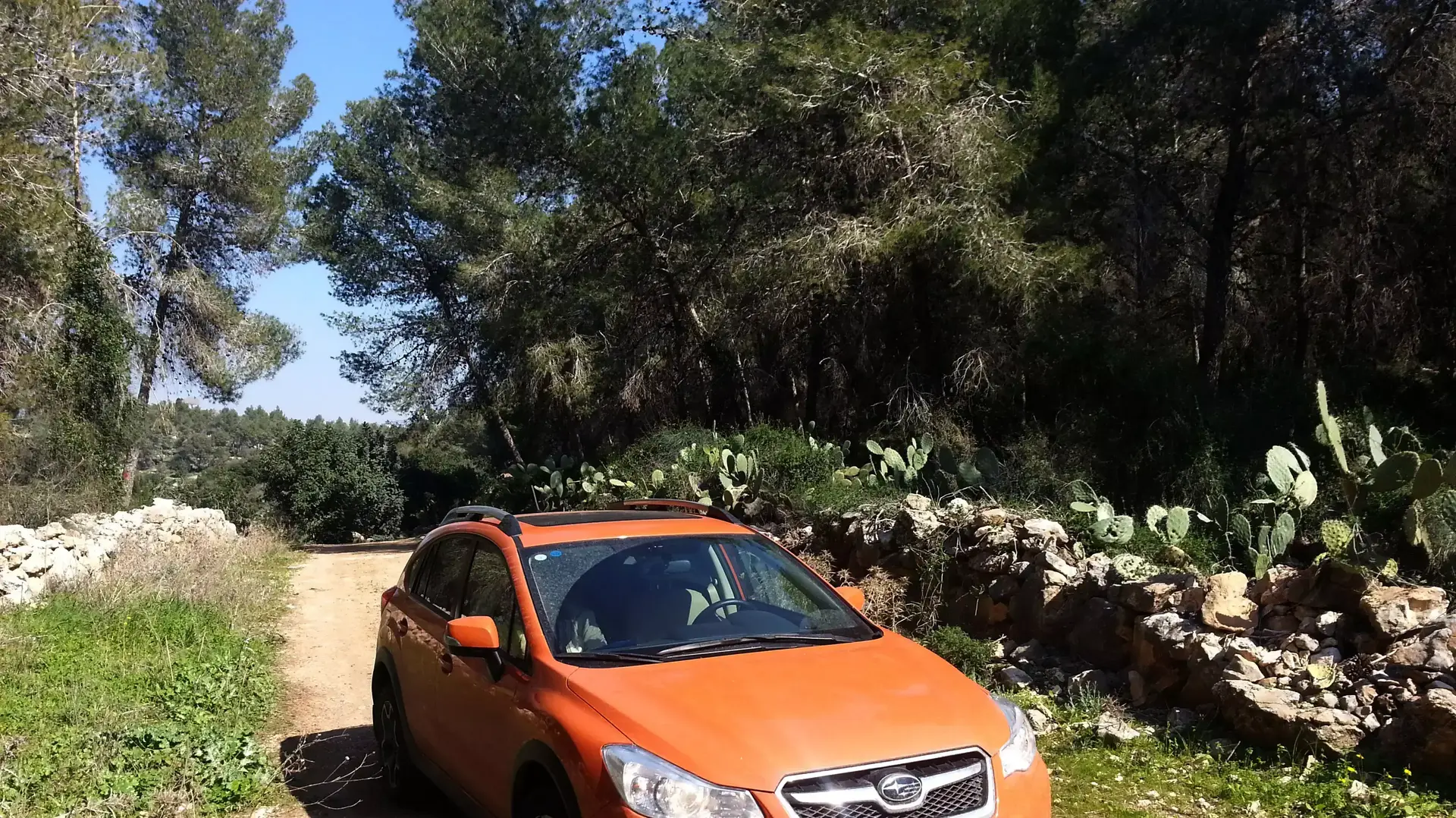 מבחן ארוך טווח חודש שישי סובארו XV