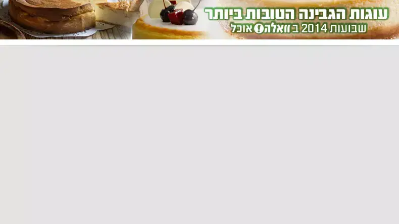 עוגת גבינה באנר מצעד פלאש