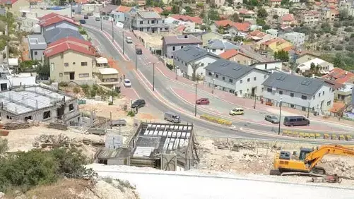 צופים