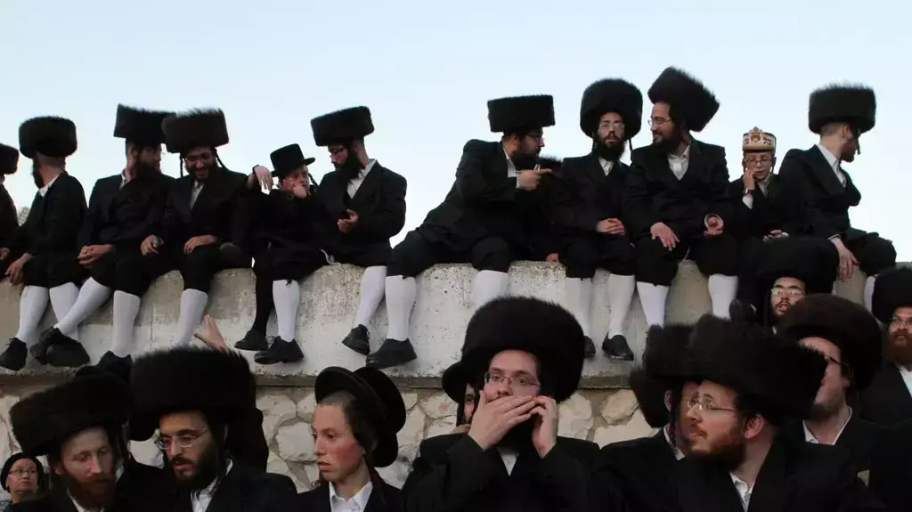חתונת נכדת האדמו"ר מבעלז