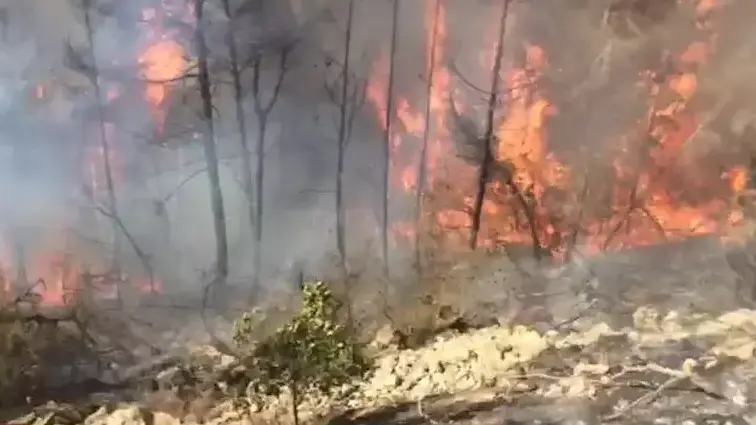 הושגה שליטה על האש, חשד להצתה מכוונת