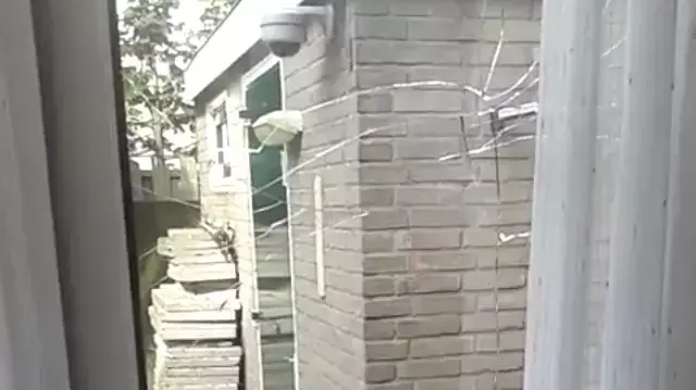 בית הרב הראשי של הולנד הותקף באבנים