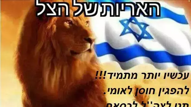 מתוך עמוד הפייסבוק "האריות של הצל" מתוך עמוד הפייסבוק "האריות של הצל"