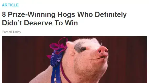 מתוך האתר clickhole