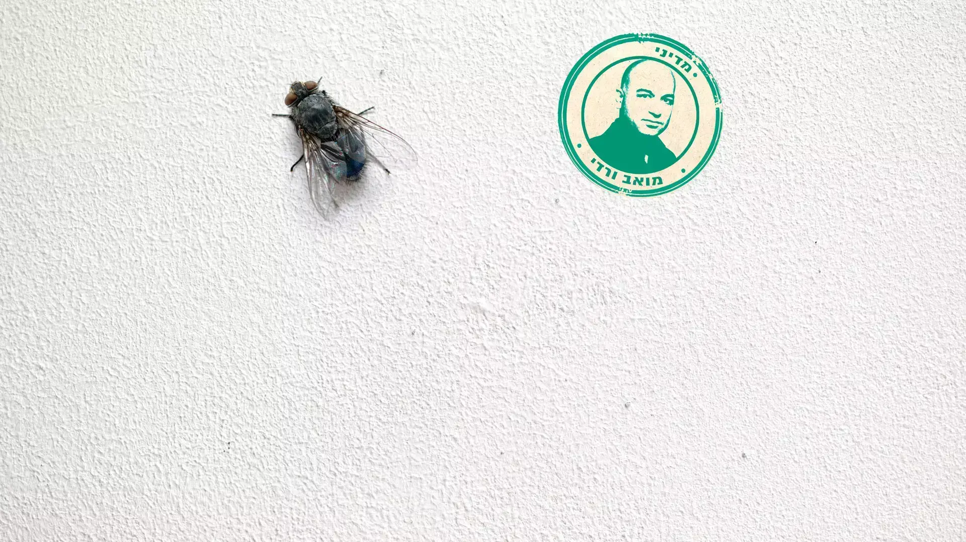 מדיני  מואב ורדי