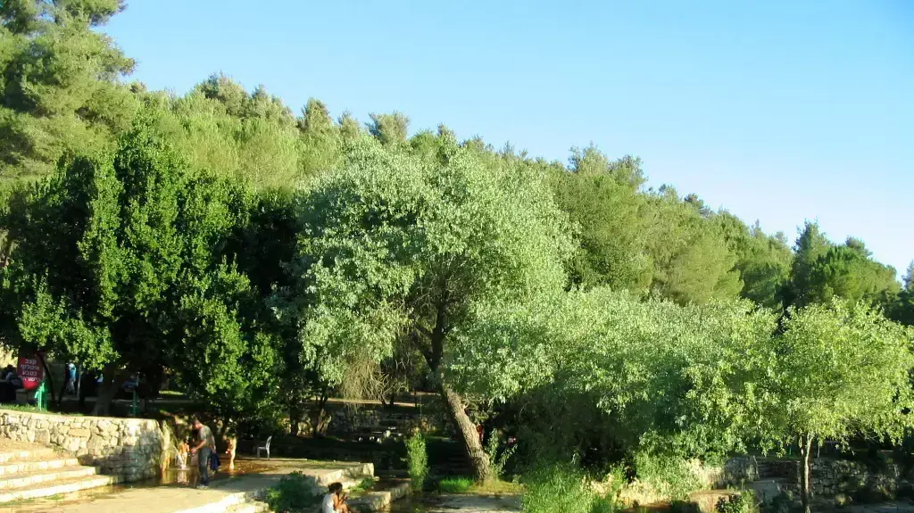 גן לאומי עין חמד