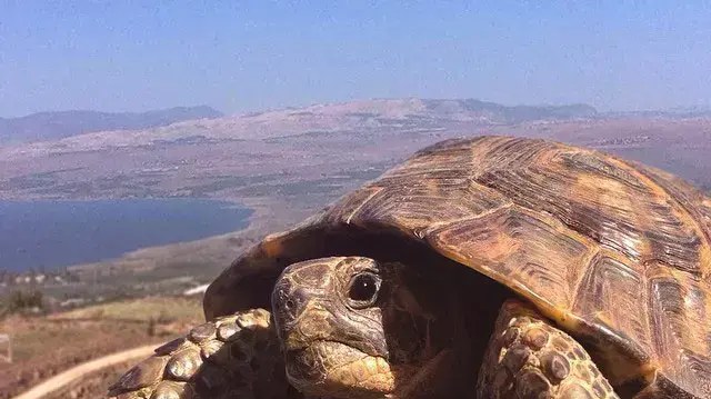 תמונות איתן אסרף