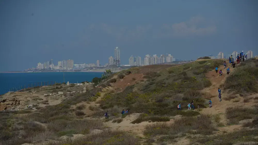 חוף פלמחים, נובמבר 2014