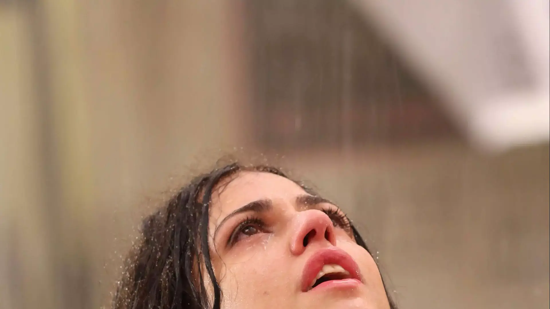 טריילר יונה