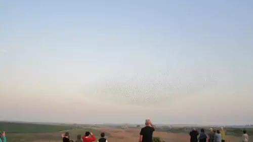 עמותת מוזאיקה מנסה לבנות שיח בין יהודים למוסלמים שהוא ערכי מוסרי עמותת מוזאיקה מנסה לבנות שיח בין יהודים למוסלמים שהוא ערכי מוסרי