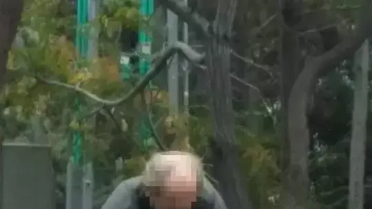 עמותות חרדיות