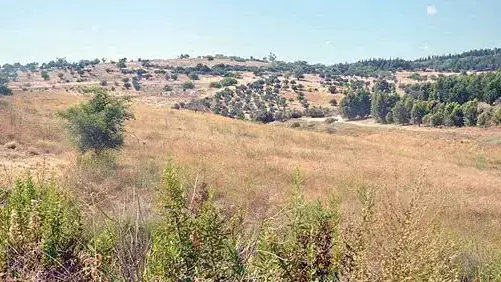 מודיעין