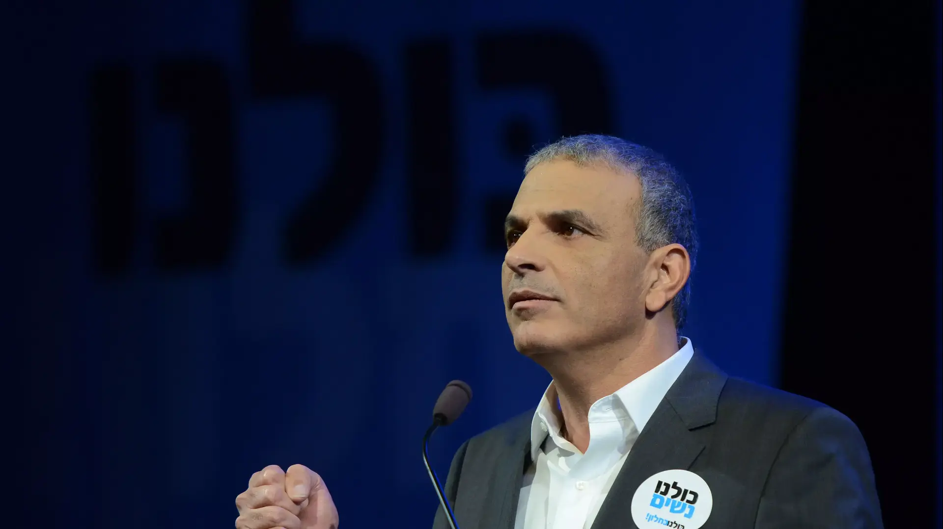 מפלגת כולנו, ינואר 2015