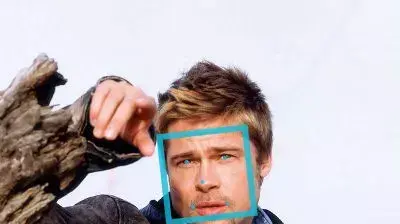face plus brad pitt