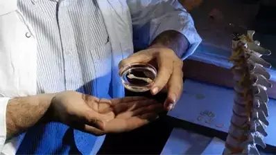 בונס
